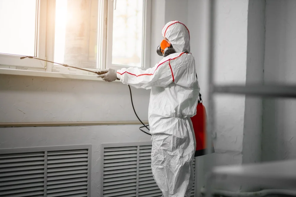 Professional mold remediation services in Phoenix, MD